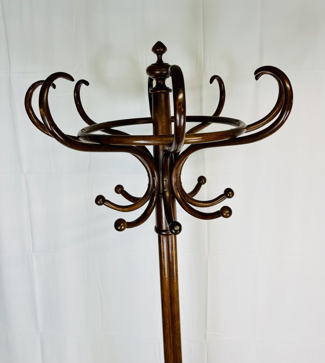 Parrot Coat Rack -photo-2